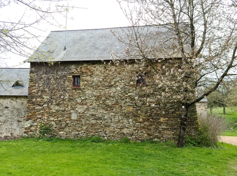 before-image